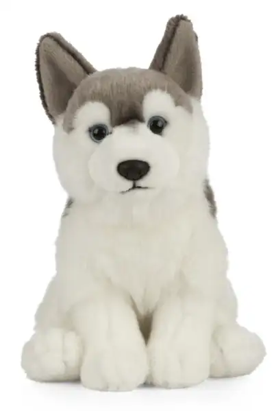 Husky stuffy, View more
