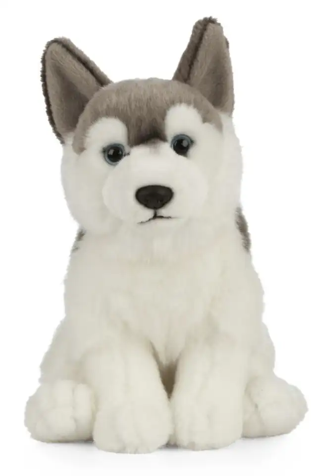 Husky stuffy64840303304067120