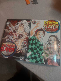 Demon slayer manga