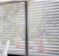 New Hunter Douglas Remote Control Banded Shades For Sale