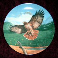 "Majestic Birds Of North America" Collector Plates