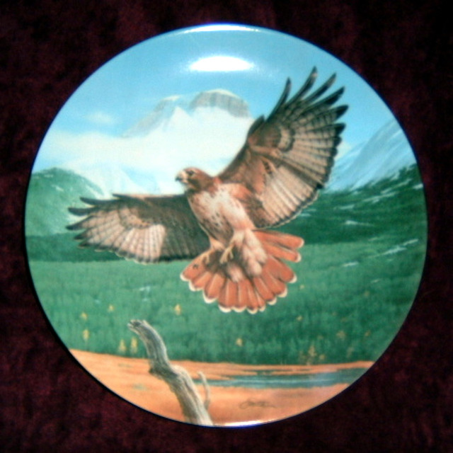 "Majestic Birds Of North America" Collector Plates in Arts & Collectibles in City of Toronto
