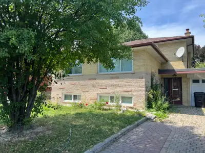 Bright, furnished modern basement studio close to Yonge