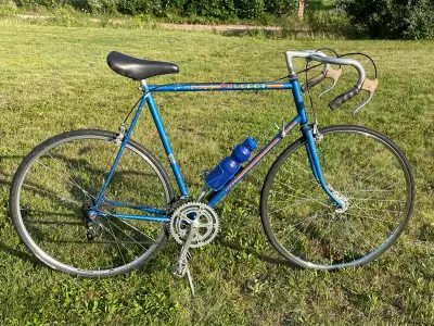 Good working road bike, just needs someone to ride it. Call 9028254463 and ask for Nathaniel.