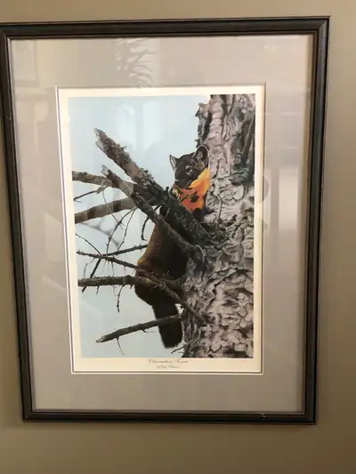 Ducks Unlimited large numbered framed  artwork , View more