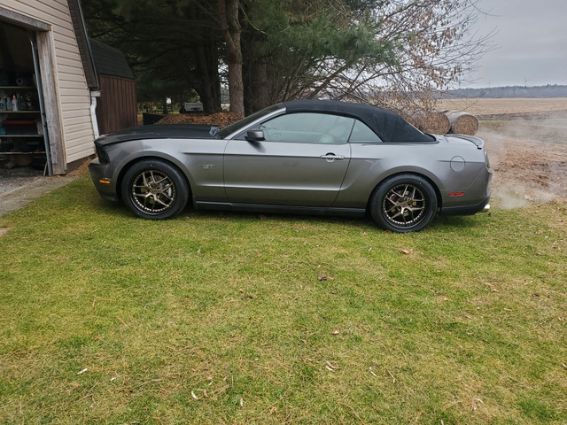 2010 mustang gt in Cars & Trucks in St. Catharines