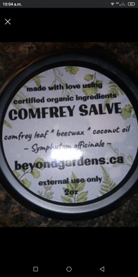 Comfrey Salve  $7  $12  $22