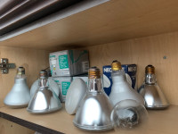 Incandescent and CFL lightbulbs