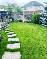 Sod installation  in Lawn, Tree Maintenance & Eavestrough in Kitchener / Waterloo - Image 3