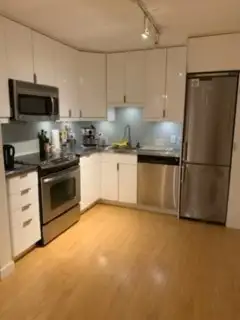 Large basement apartment perfect for UofT students