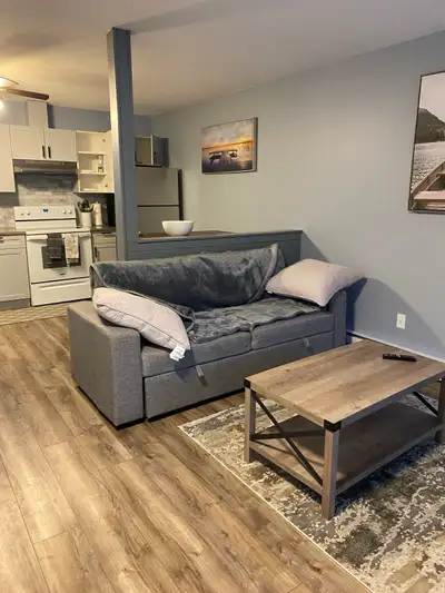 Valemount BC Nicest apartments in Valemount 1 bedroom renovated and furnished appartment . 3-4 minut...