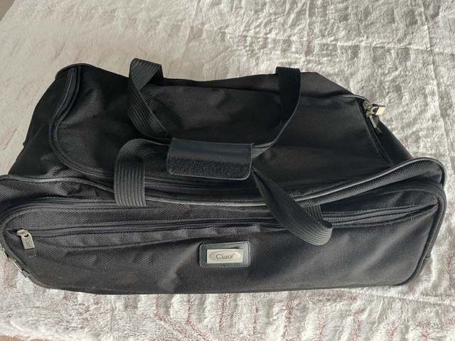 Carry-all Bag on Wheels in Storage & Organization in Kitchener / Waterloo