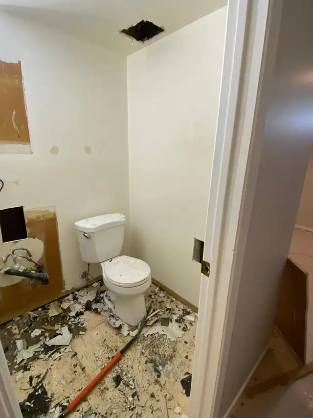 bathroom renovation491796809657231363
