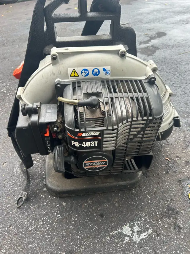 echo blower in Lawnmowers & Leaf Blowers in Kingston - Image 2