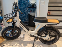 EBIKE Biketrix Challenger Scrambler style electric moped
