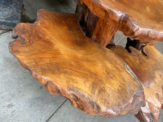 Unique Teak Root Display Stand in Outdoor Décor in Kamloops - Image 7