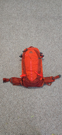 Gregory Targhee 32L Backpack
