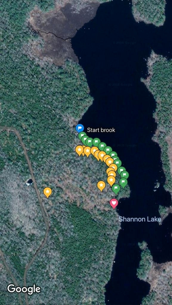 Seasonal RV rental lots on Shannon lake. Off grid Land for Sale