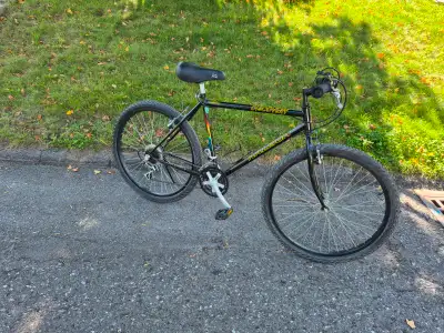 Large Raleigh tuned mountain bike, View more