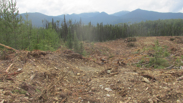 Summit Creek Gold Claims Near Barkerville in Other in Quesnel - Image 2