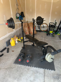 Home weight lifting kit - bench, bars, plates, & dumbbells