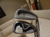 Two Right Hand Golf Club Irons Acuity Turbo Max #6 & GTS Pro #8