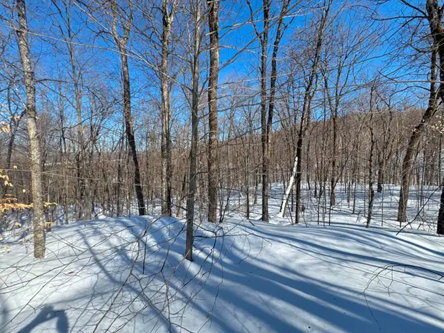 Terrain à vendre, Lac Supérieur Tremblant in Land for Sale in Laval / North Shore - Image 7