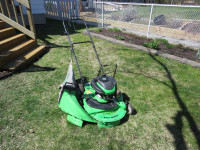 Lawn Boy lawnmower for sale