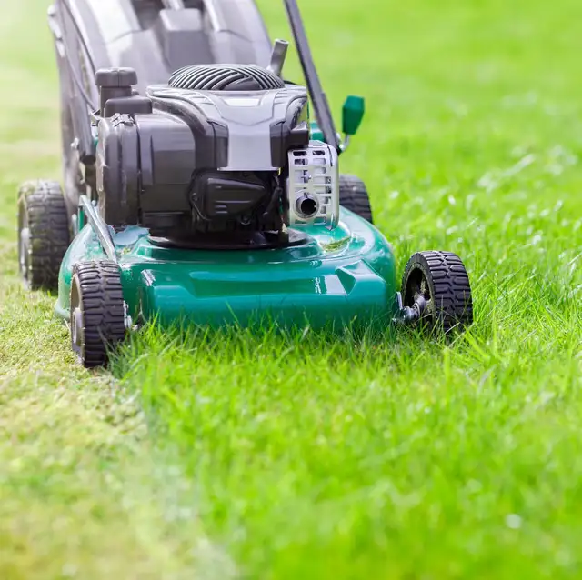 grass cutting // yard clean up 