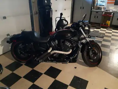2008 harley v rod night rod special 1250 cc 40000kms Hasn't been used in 5 years, needs battery and...
