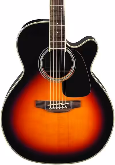 Takamine Acoustic electric guitar still brand new comes with gig bag