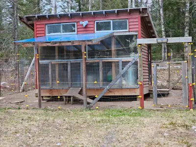8X12 Fully insulated , Walk in with separated area for feed, comes with Insulated aluminum floor, St...
