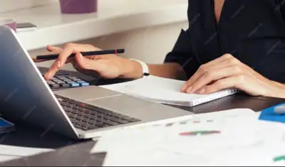 Bookkeeping, QuickBooks & Tax Services Available, View more