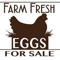 Fresh Farm  Eggs for Sale.