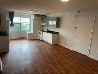Now or August 1 Green St Downtown Lg. 2 Bedroom Apt All Utils In