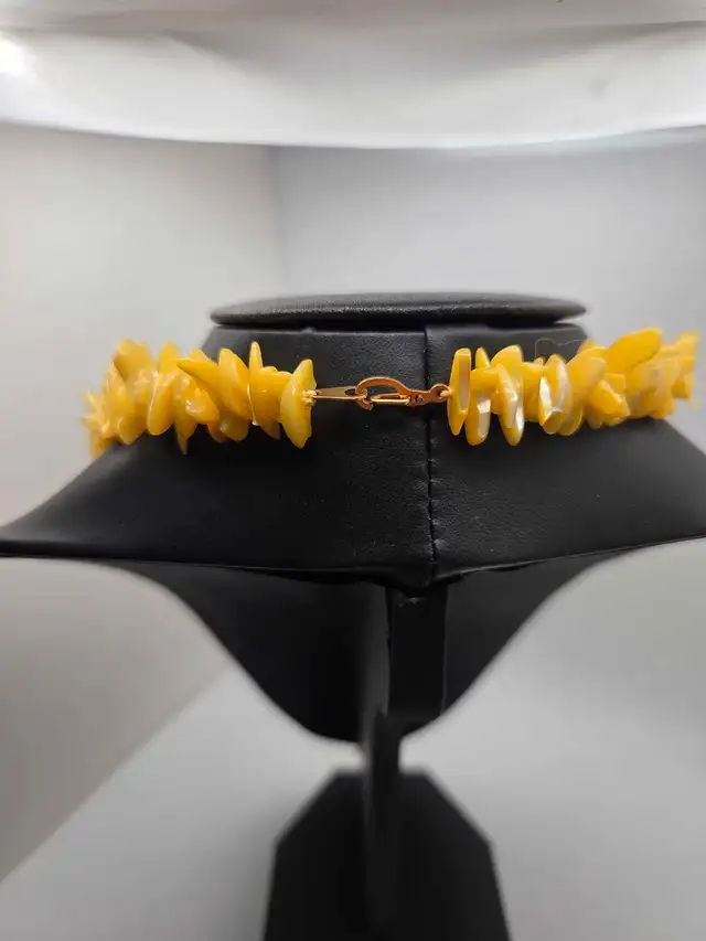 Shell Necklace63008305989123121