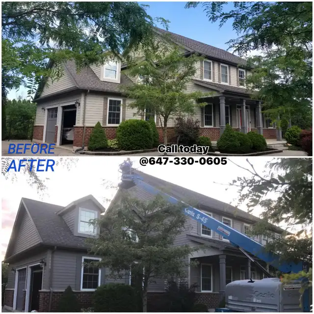 Painters 65179086846209125