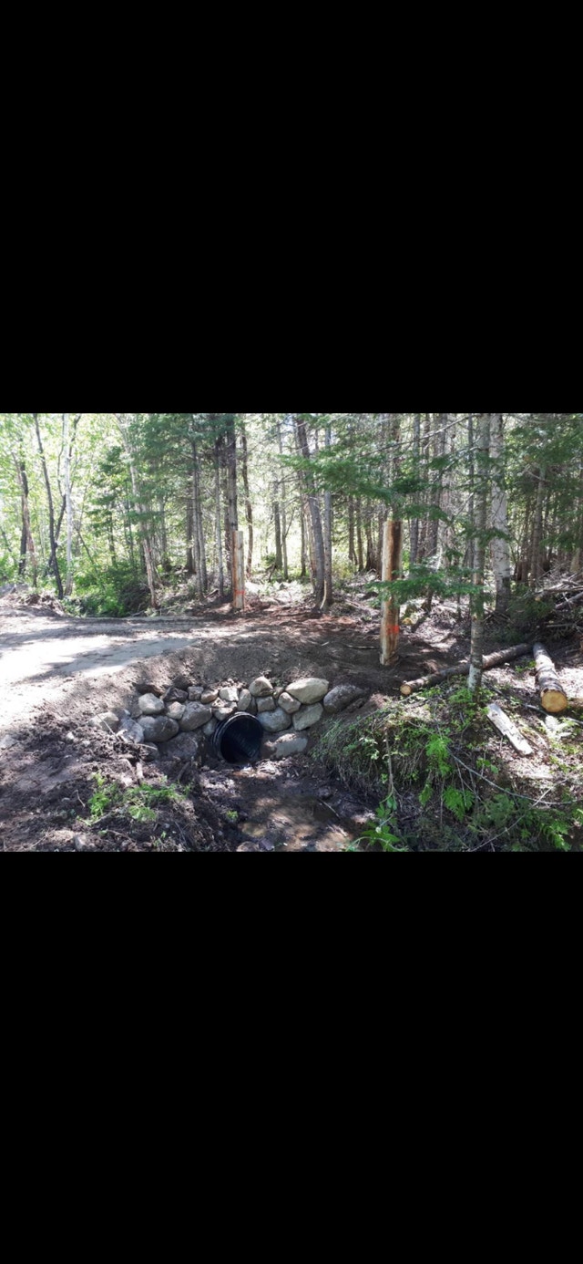 Terrain — photo 3