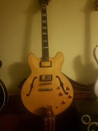 Epiphone Vintage Sheraton, View more