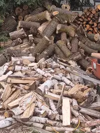 Birch, tamarack, spruce, poplar, maple firewood