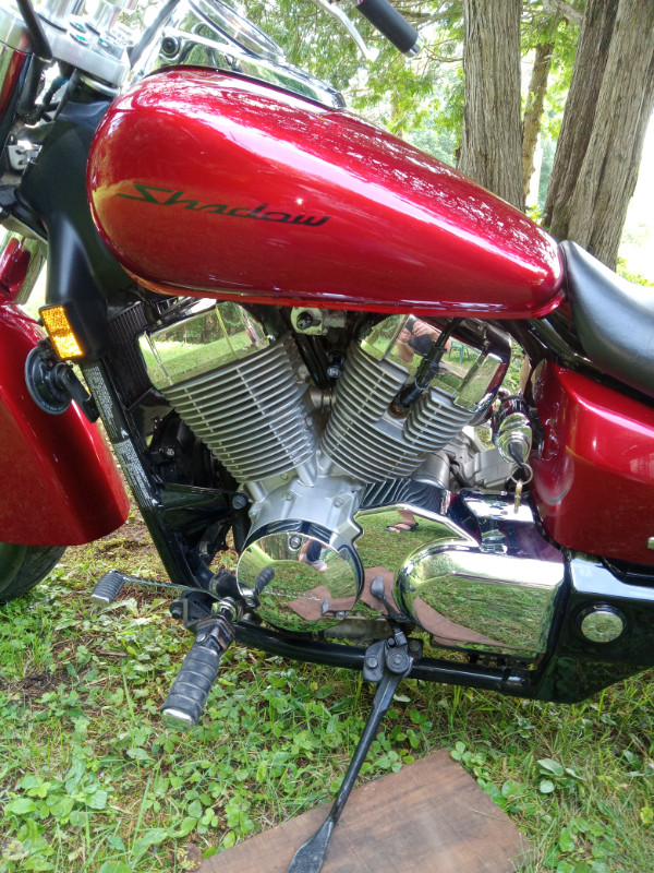 2008 Honda Shadow Aero in Street, Cruisers & Choppers in Napanee - Image 4