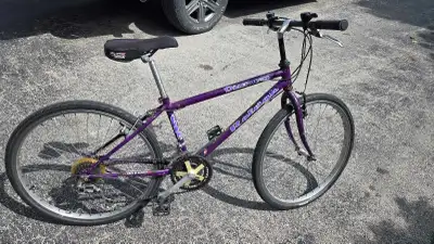 Vintage purple Raleigh Discovery 18-speed mountain bike, View more