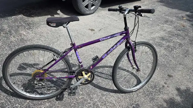 Vintage purple Raleigh Discovery 18-speed mountain bike in Mountain in Hamilton - Image 2