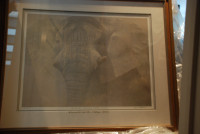 Robert Bateman Print "The Wise One"