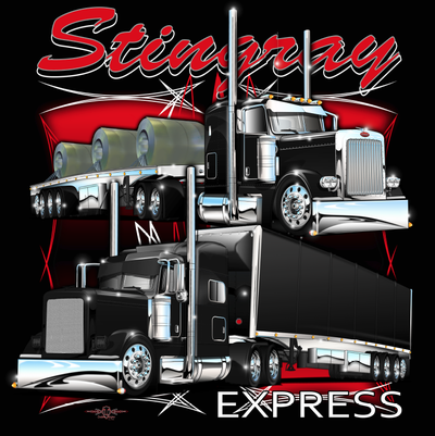 Class 1 Drivers & Owner Operators - Stingray Express Inc., View more