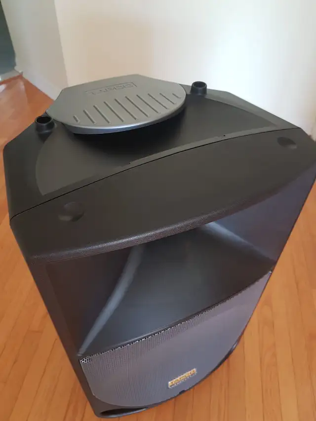 Tapco Thump TH-15A 400 watt powered speaker+Pelican 1690  Case in Performance & DJ Equipment in City of Toronto - Image 3