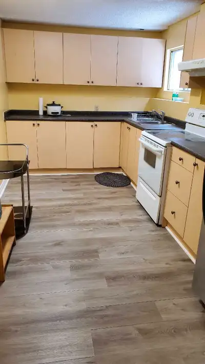 Fully Furnished Two Bedroom Basement for Rent in Millwood area 23 ave. And 50 st. to a small Family...