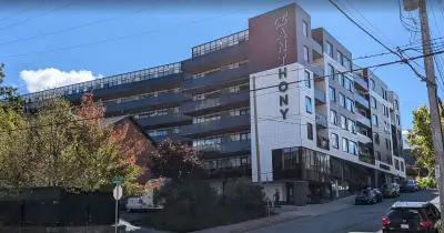 1b 1b Apartment for rent