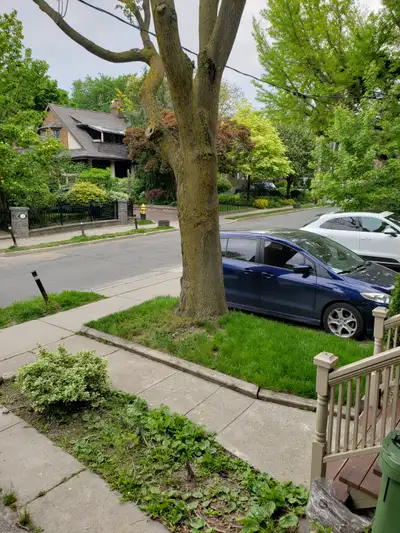 A nice 6 BDRM House is available for rent at Christie and St. Clair. Partially furnished. Can be gre...