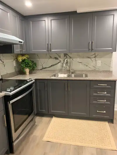 Brand new one bedroom & den (small room) basement apartment